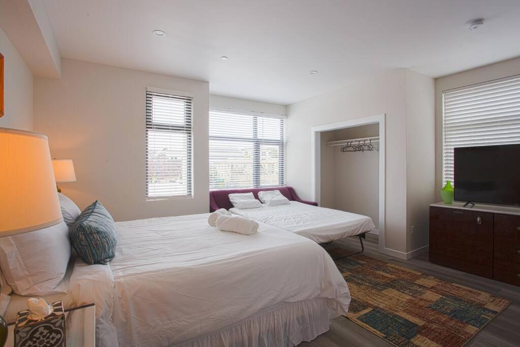 Comfy Studio With Cali King Size Mattress San Diego Ngoại thất bức ảnh